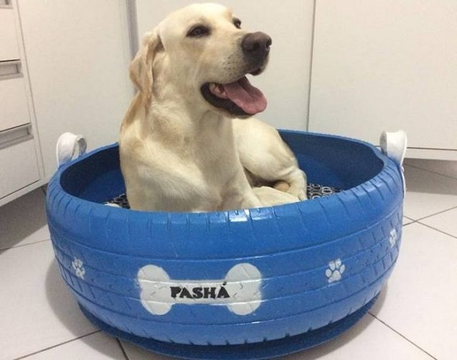 Cuidados Essenciais e Manutenção da Cama de Pneu do Seu Pet