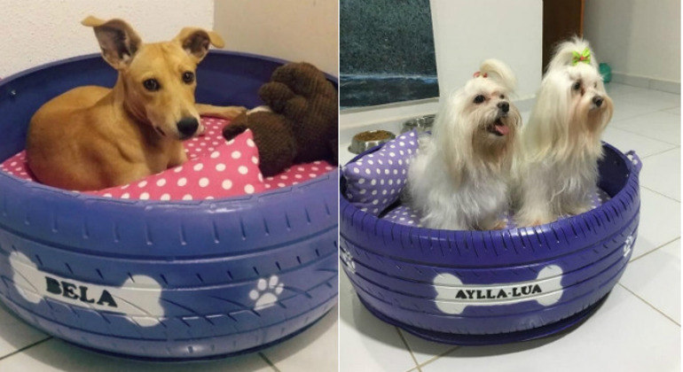 Guia Completo: Como Escolher a Cama de Pneu Ideal para Seu Cachorro
