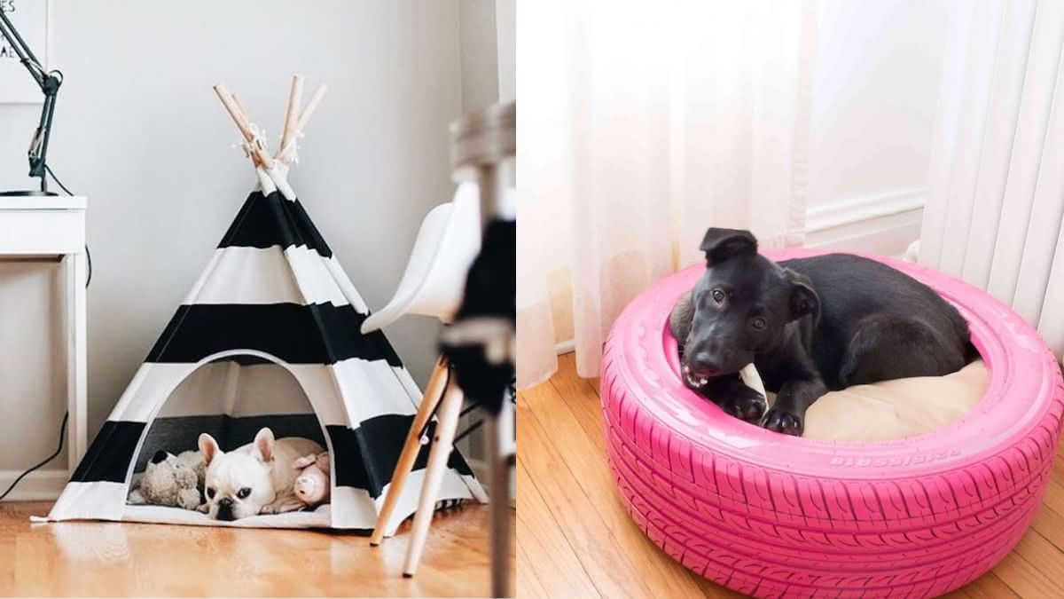 DIY Cama de Pneu: Passo a Passo Detalhado para Economizar e Reciclar
