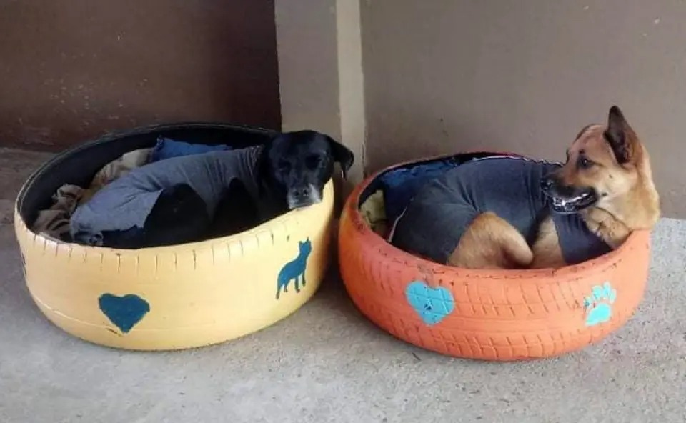 Comparativo: Camas de Pneu Artesanais vs. Compradas Online