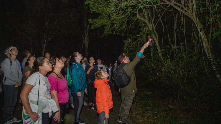 Como Escolher a Lanterna de Cabeça Ideal para Suas Aventuras Noturnas