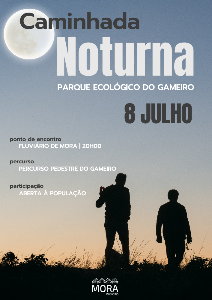 Os Melhores Aplicativos para Monitorar Suas Caminhadas Noturnas