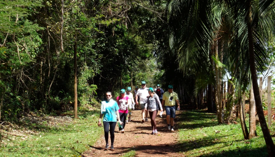 caminhadas na natureza