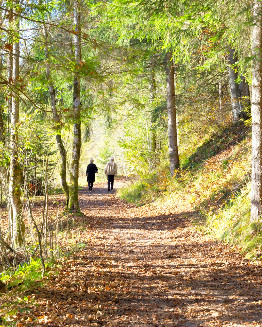 equipamentos essenciais para trekking