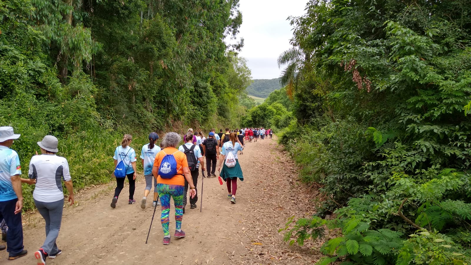 apps para navegação em trilhas