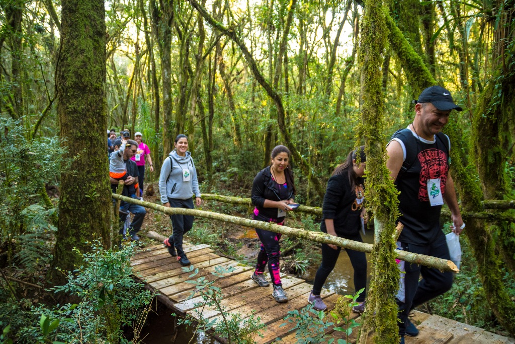 benefícios de fazer trilha para a mente