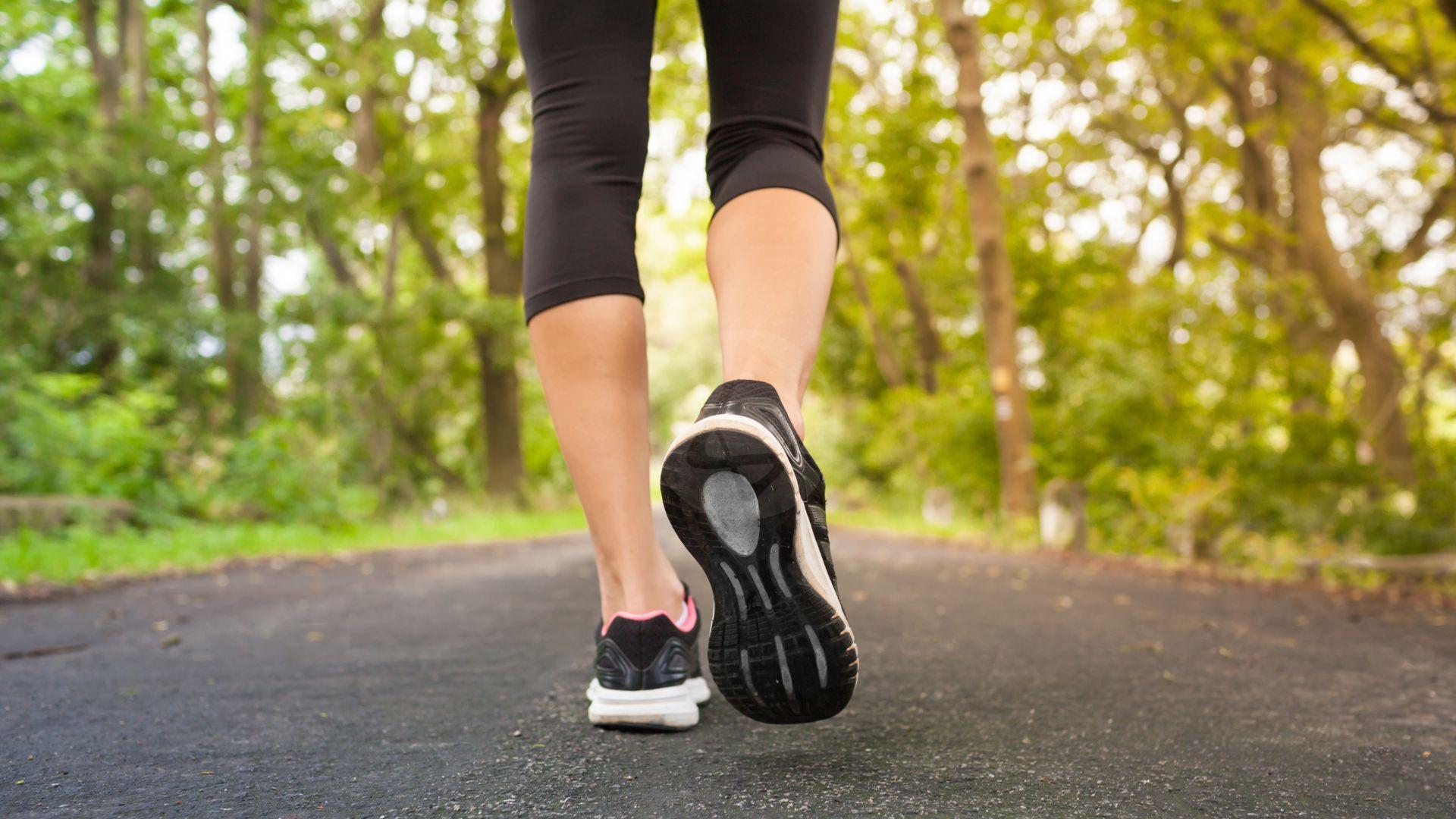 apps para navegação em trilhas