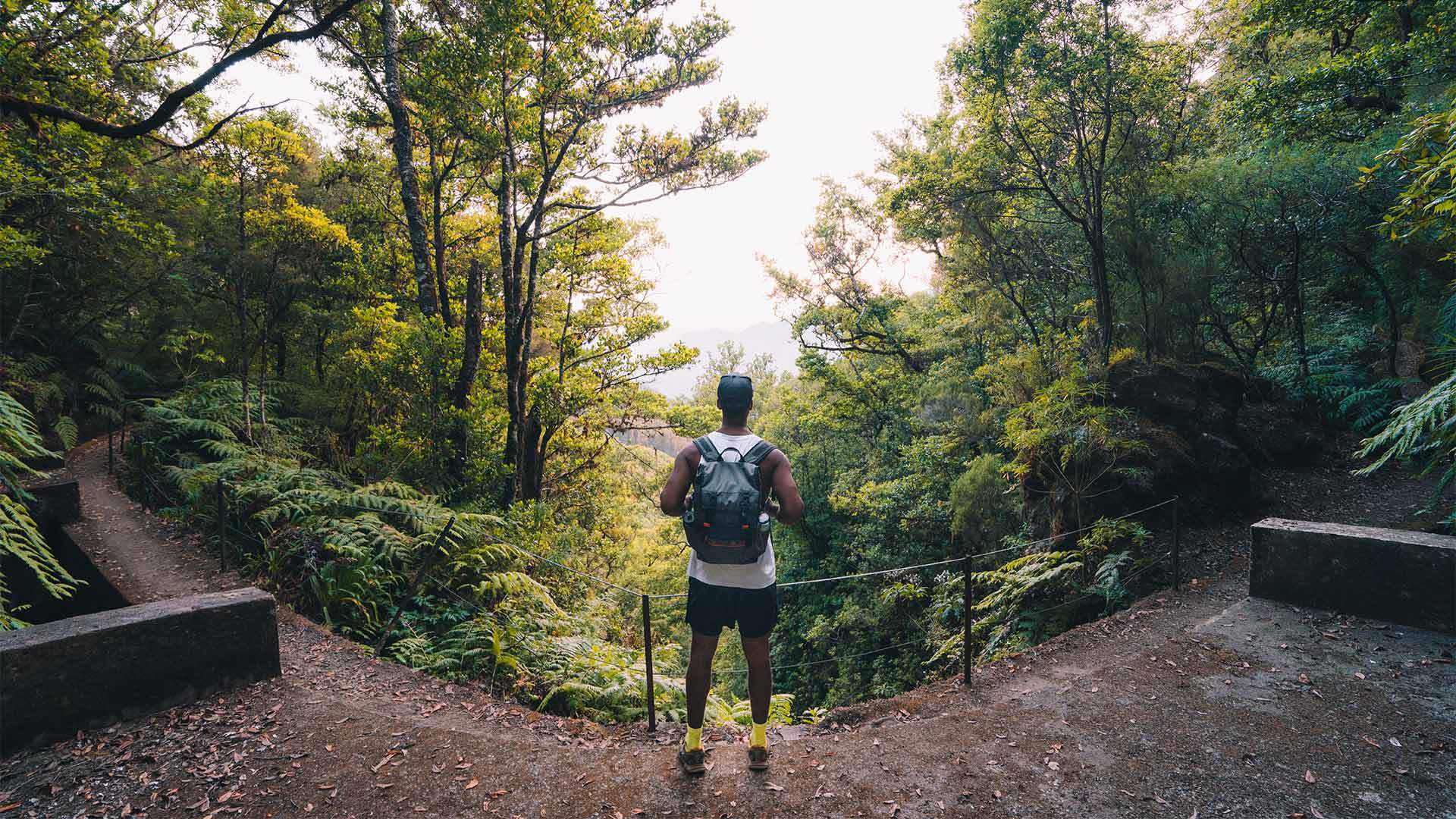 caminhadas na natureza