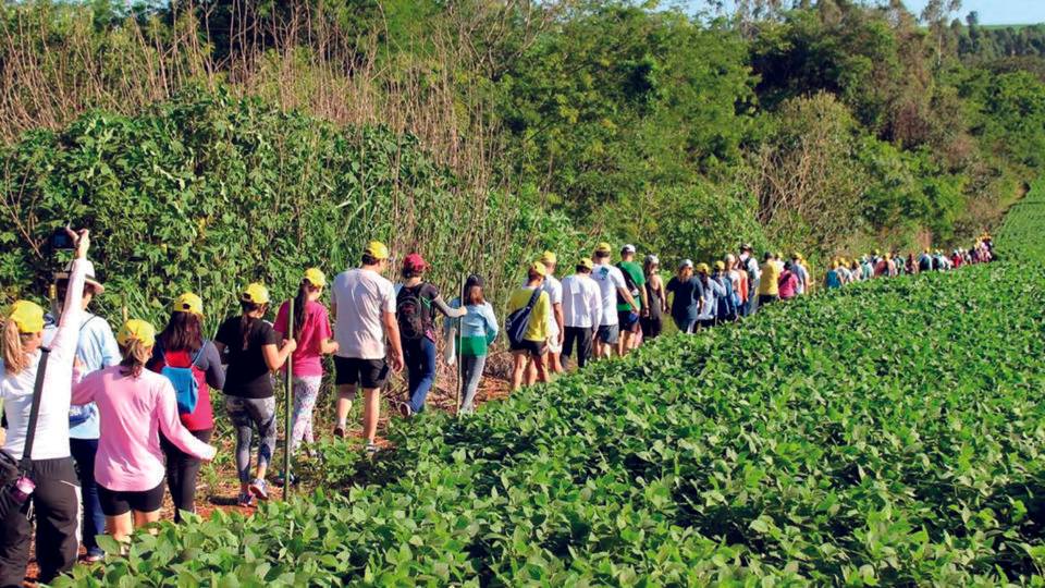caminhadas na natureza
