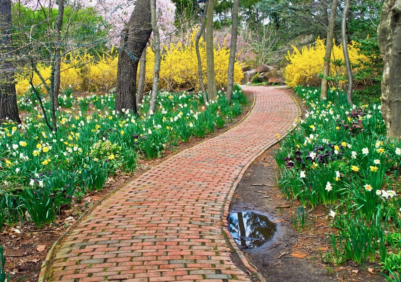 manutenção de caminhos de jardim