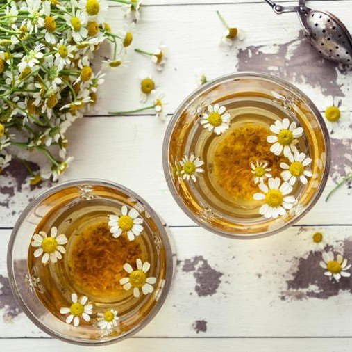 interações medicamentosas da camomila