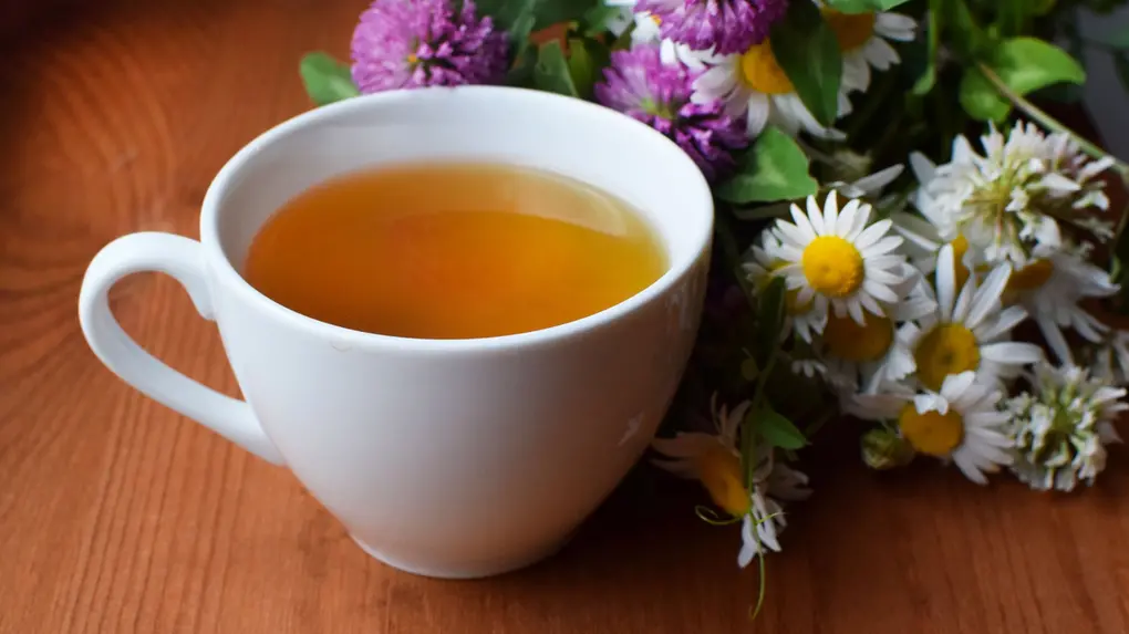 redução de cortisol com camomila