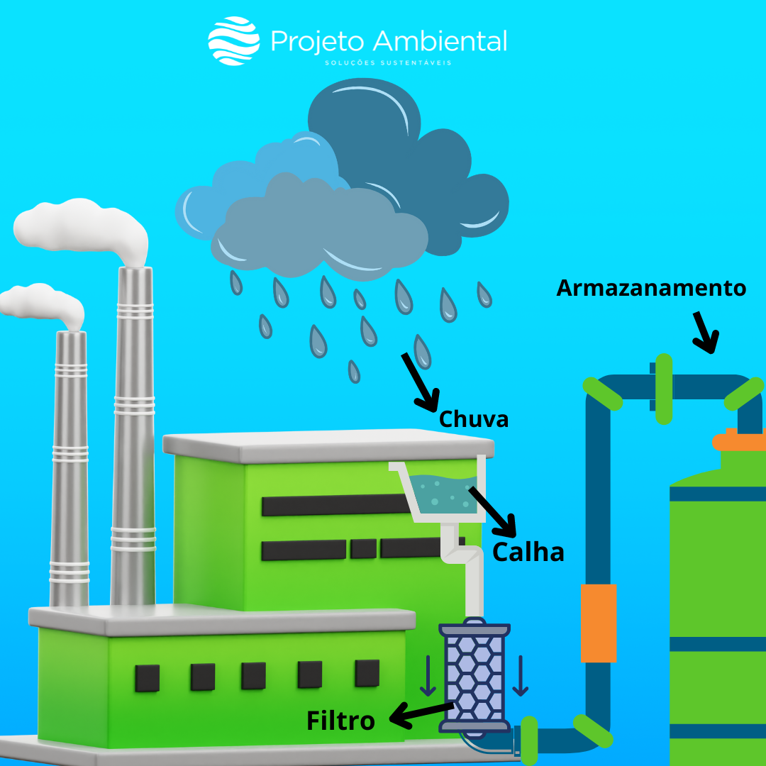 Como fazer um filtro caseiro para água de chuva