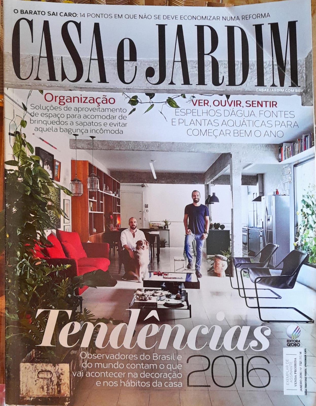 plantas de baixa manutenção para ambientes internos