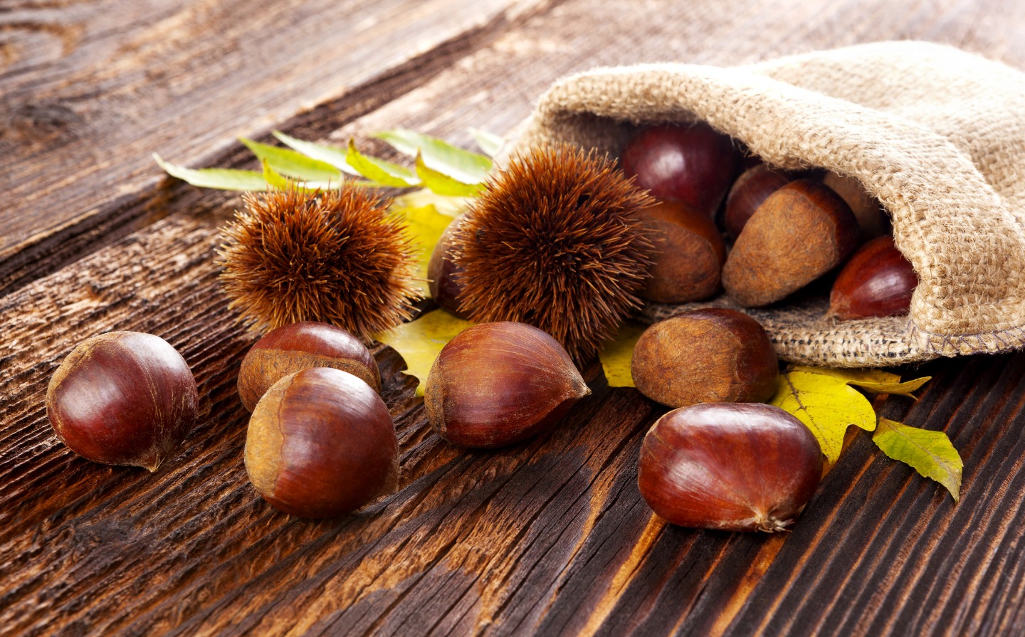 Receitas Saudáveis com Castanhas: Sabor e Nutrição