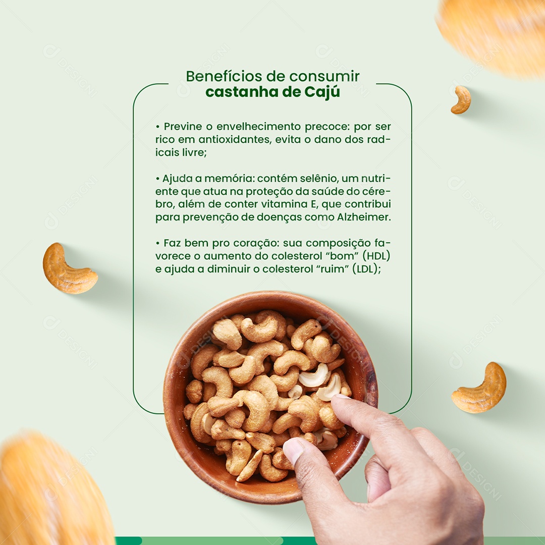 Mitos e Verdades sobre o Consumo de Castanhas e Oleaginosas