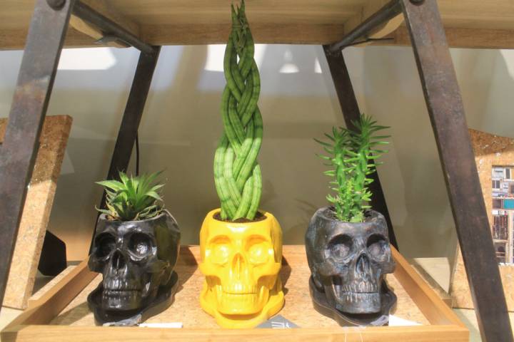 O Simbolismo da Caveira no BOPE e Outras Forças Militares