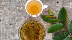 Receita Detalhada: Como Fazer o Chá de Folha de Goiaba Perfeito