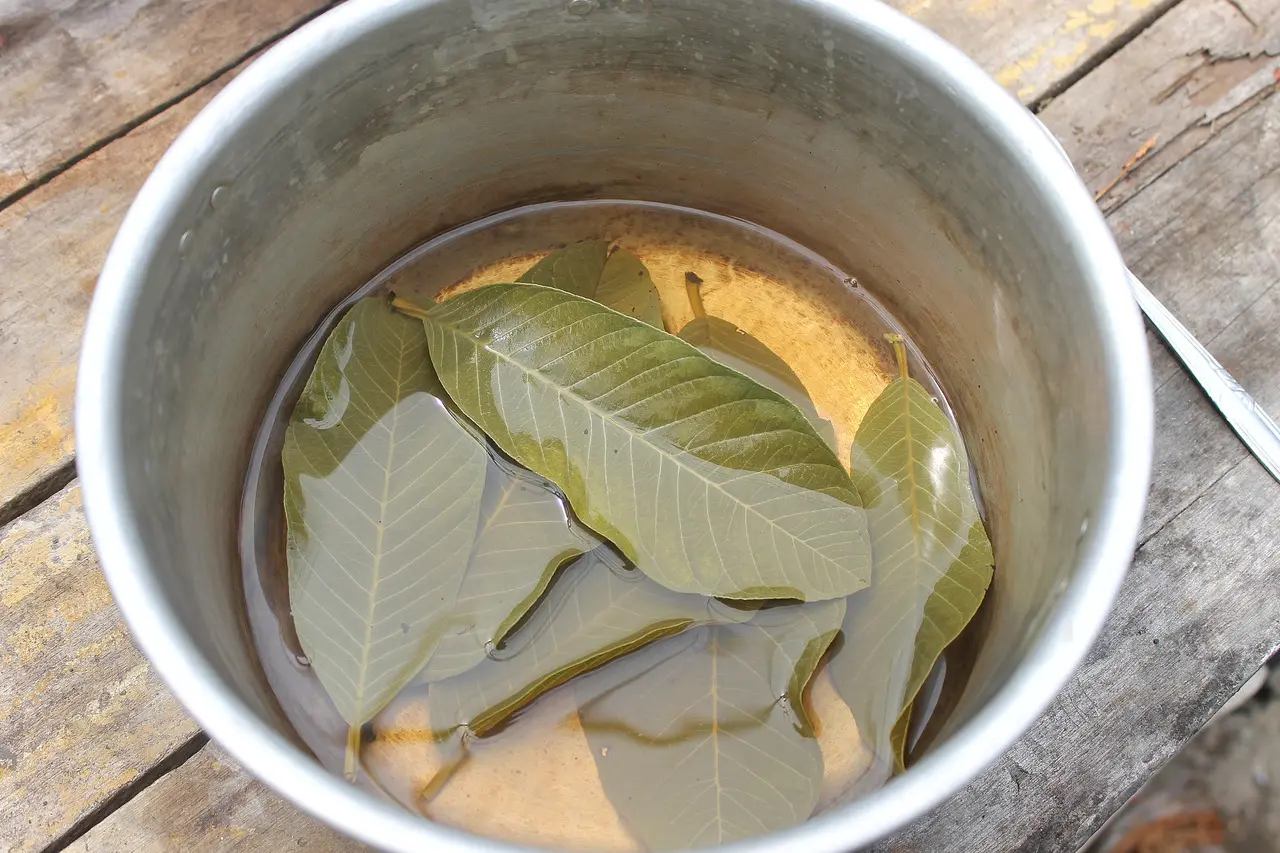 Folha de Goiaba no Cabelo: Benefícios e Receitas Caseiras para Fortalecer os Fios