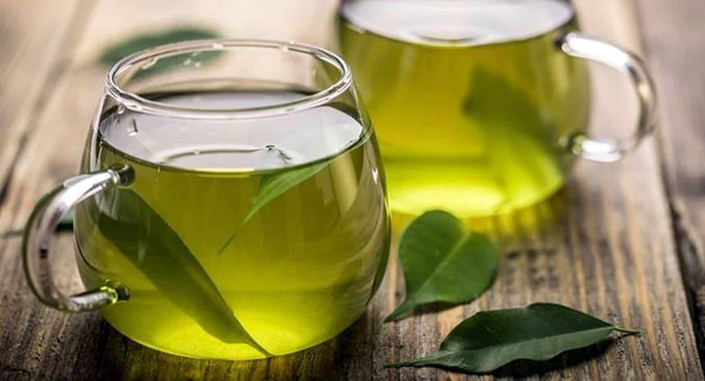 Chá de Folha de Abacate para Diabetes e Colesterol: O Que a Ciência Diz?
