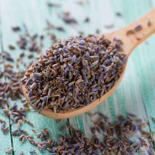 alivia dor de cabeça chá de lavanda