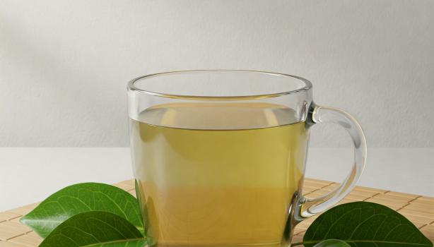 Diferenças entre Infusão e Macerado de Boldo: Qual o Melhor Preparo?