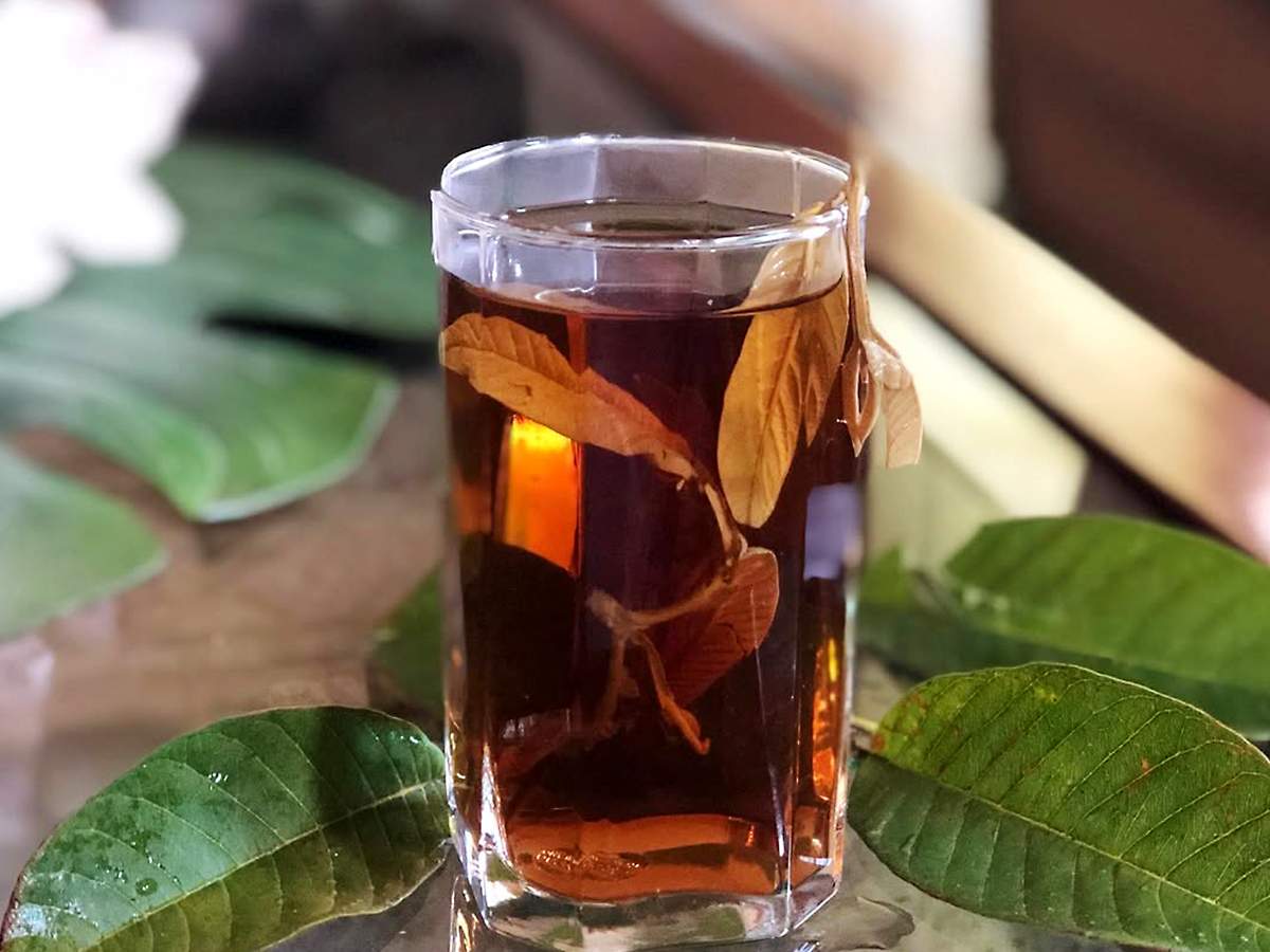 Receitas de Chá de Folha de Goiaba para Aliviar Diarreia Rapidamente