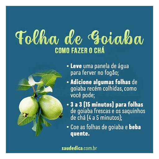 Chá de Folha de Goiaba para Queda de Cabelo: Guia Completo
