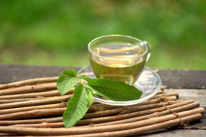 Os Mitos e Verdades sobre o Chá de Folha de Goiaba