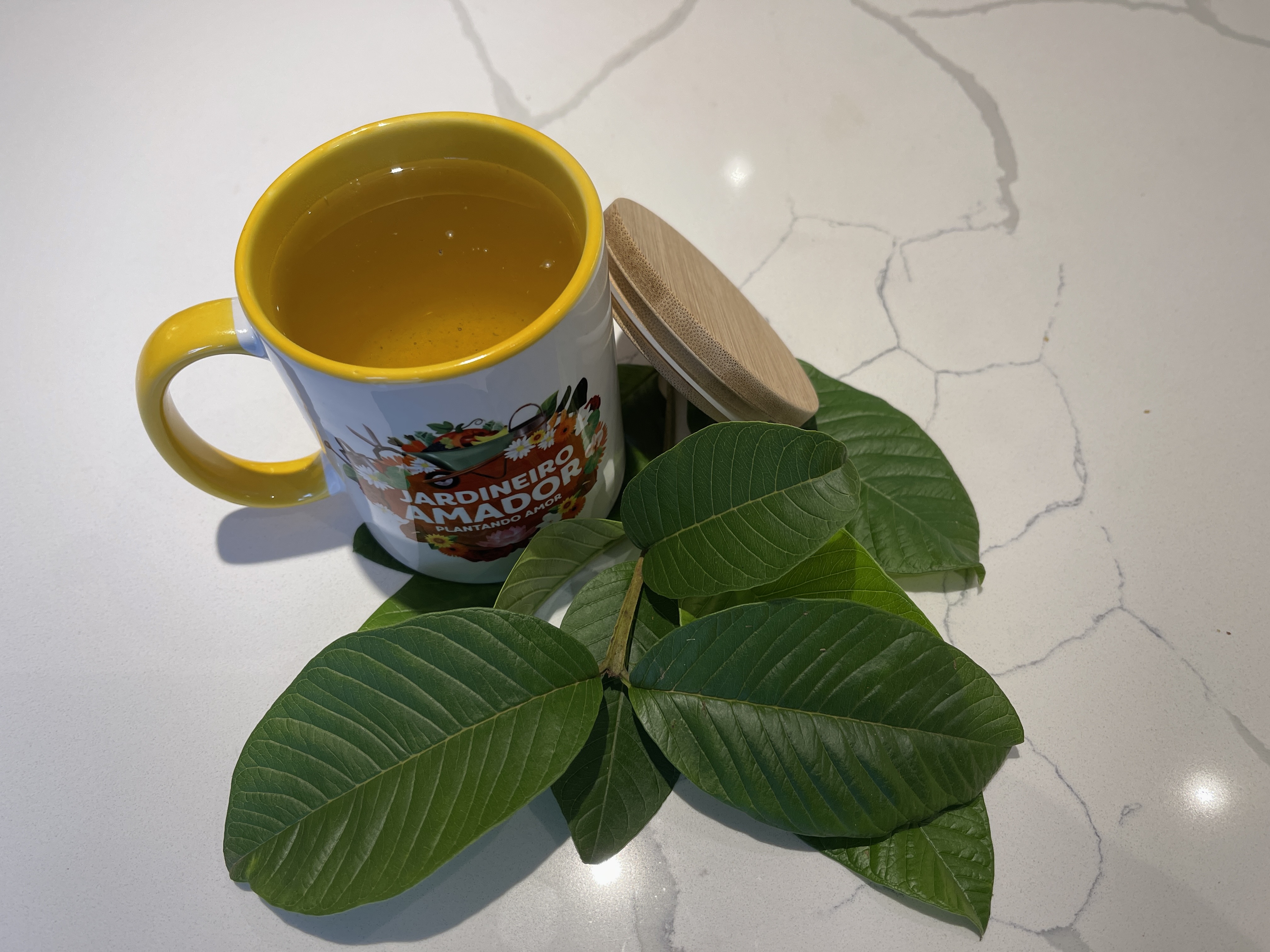 Chá de Folha de Goiaba vs. Chá de Goiaba: Qual a Diferença?