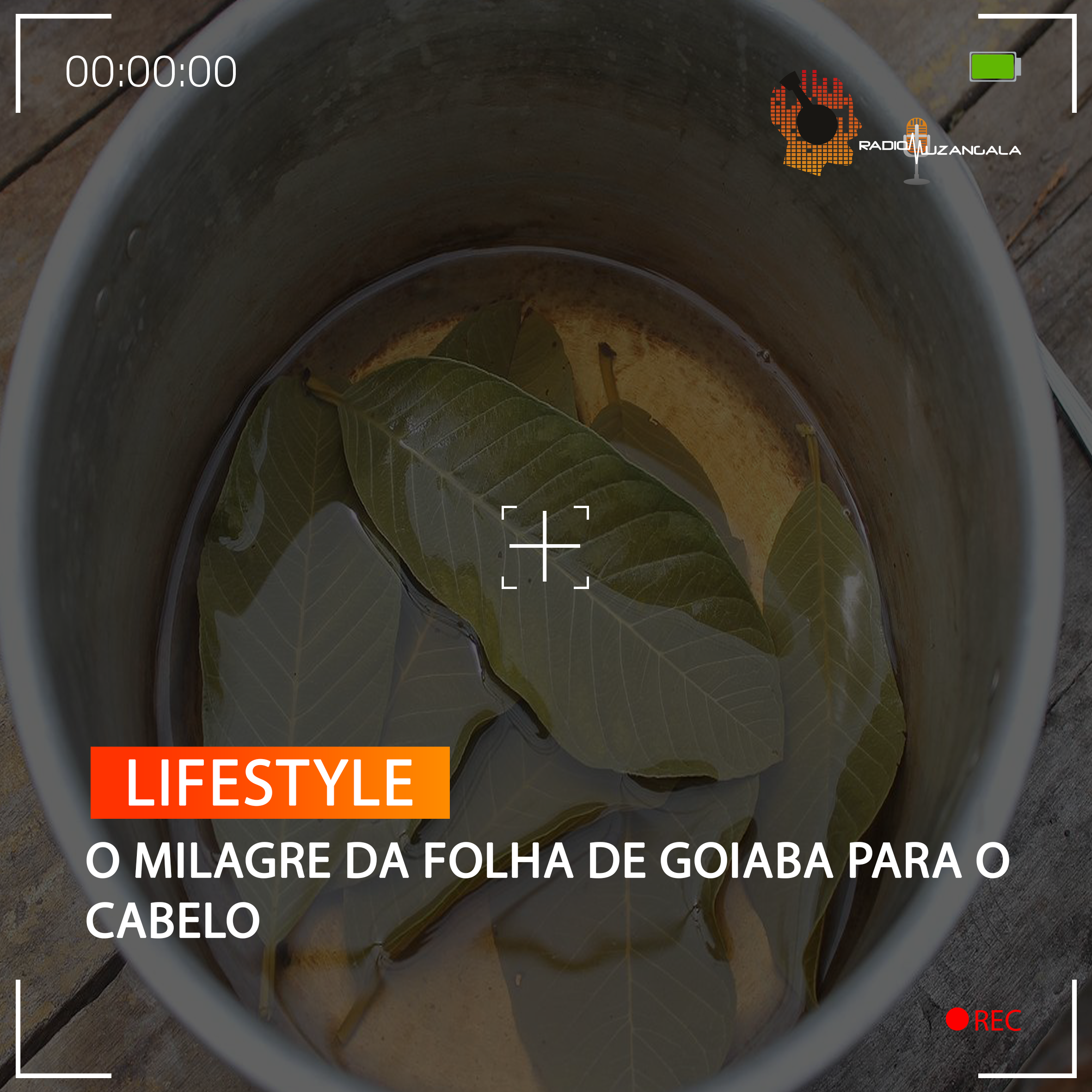 receita caseira para fortalecer o cabelo com goiaba