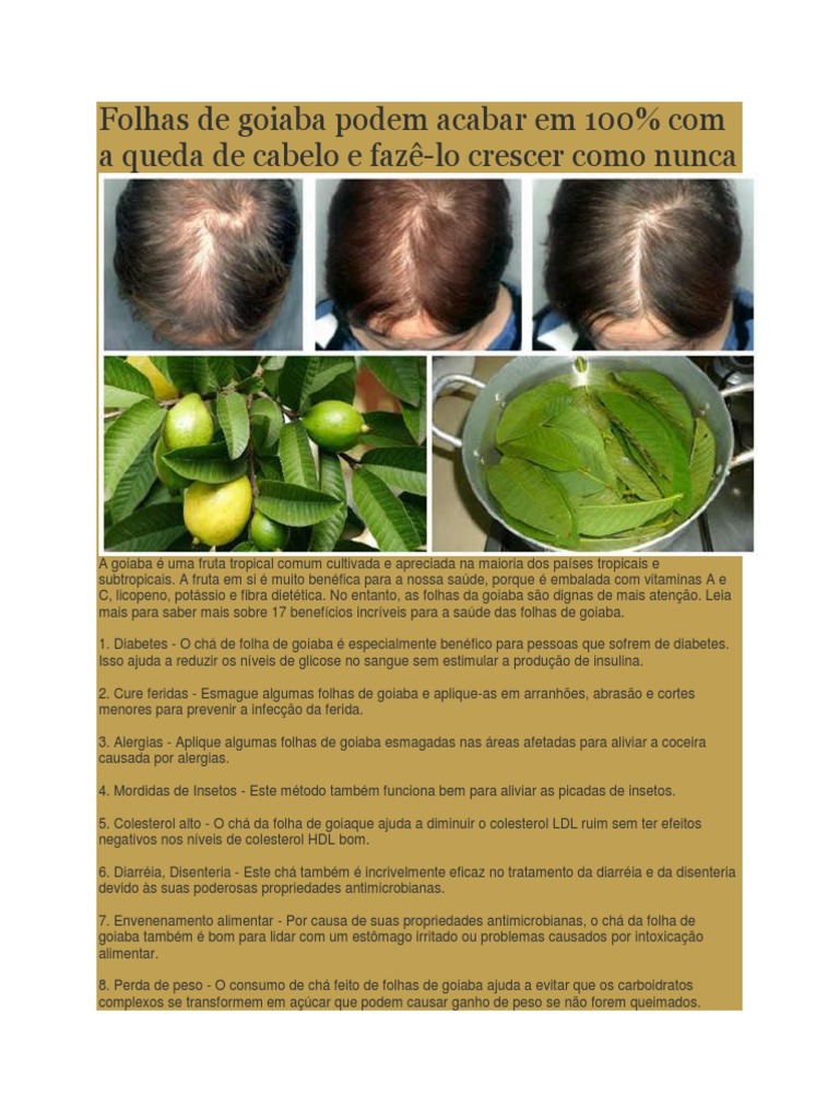 folha de goiaba para caspa e oleosidade