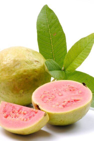 cha de goiabeira para cabelo