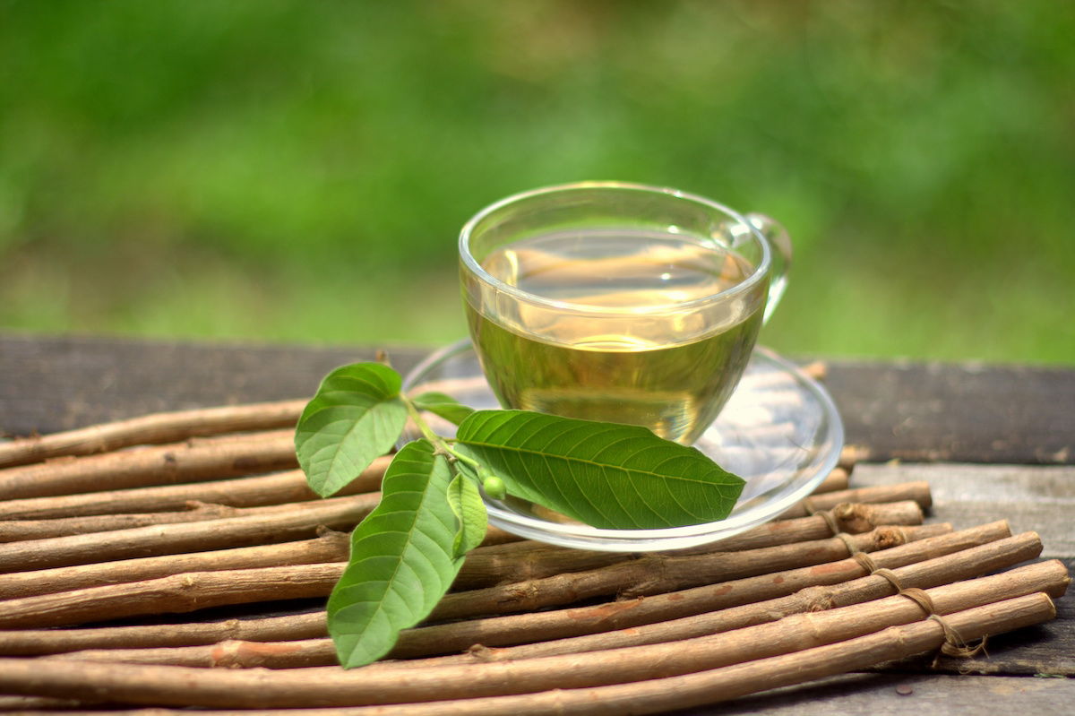 folha de goiaba para caspa e oleosidade