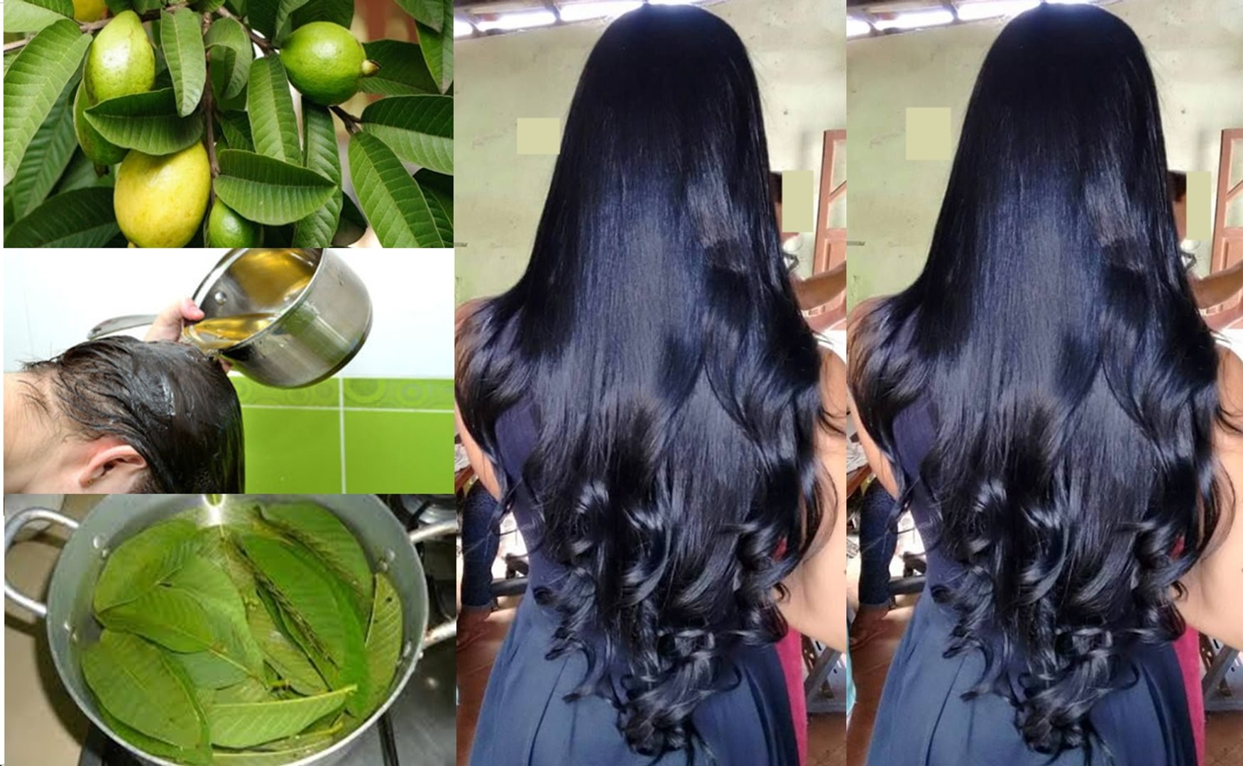 tônico de folha de goiaba para queda de cabelo