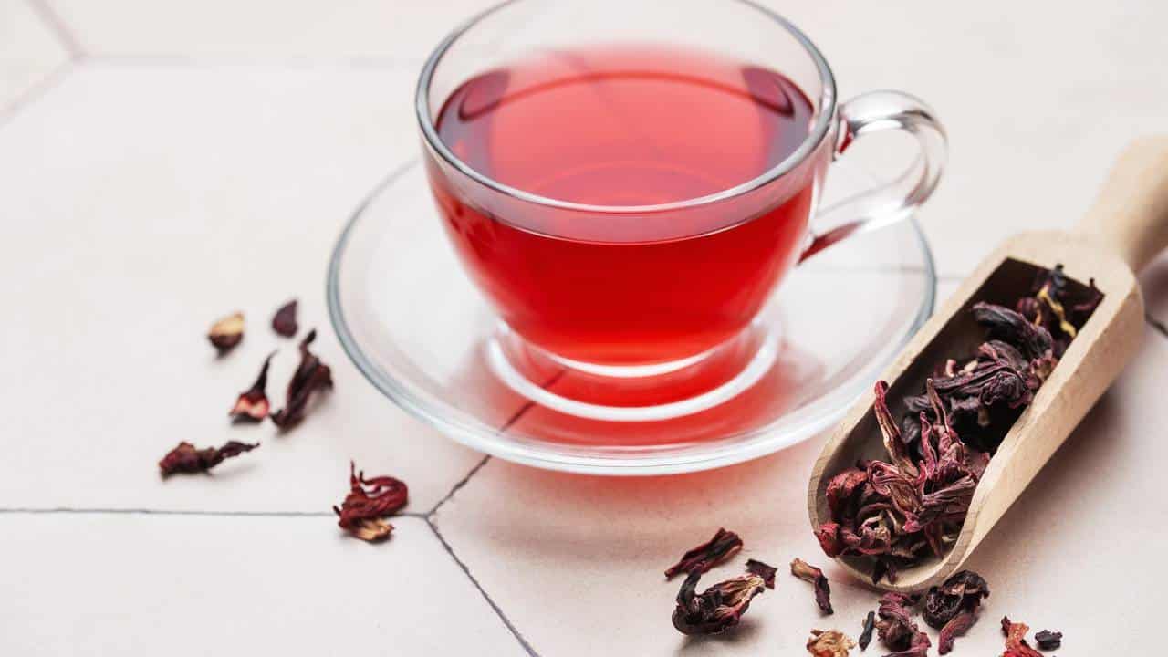 receita de tônico de hibisco para queda de cabelo