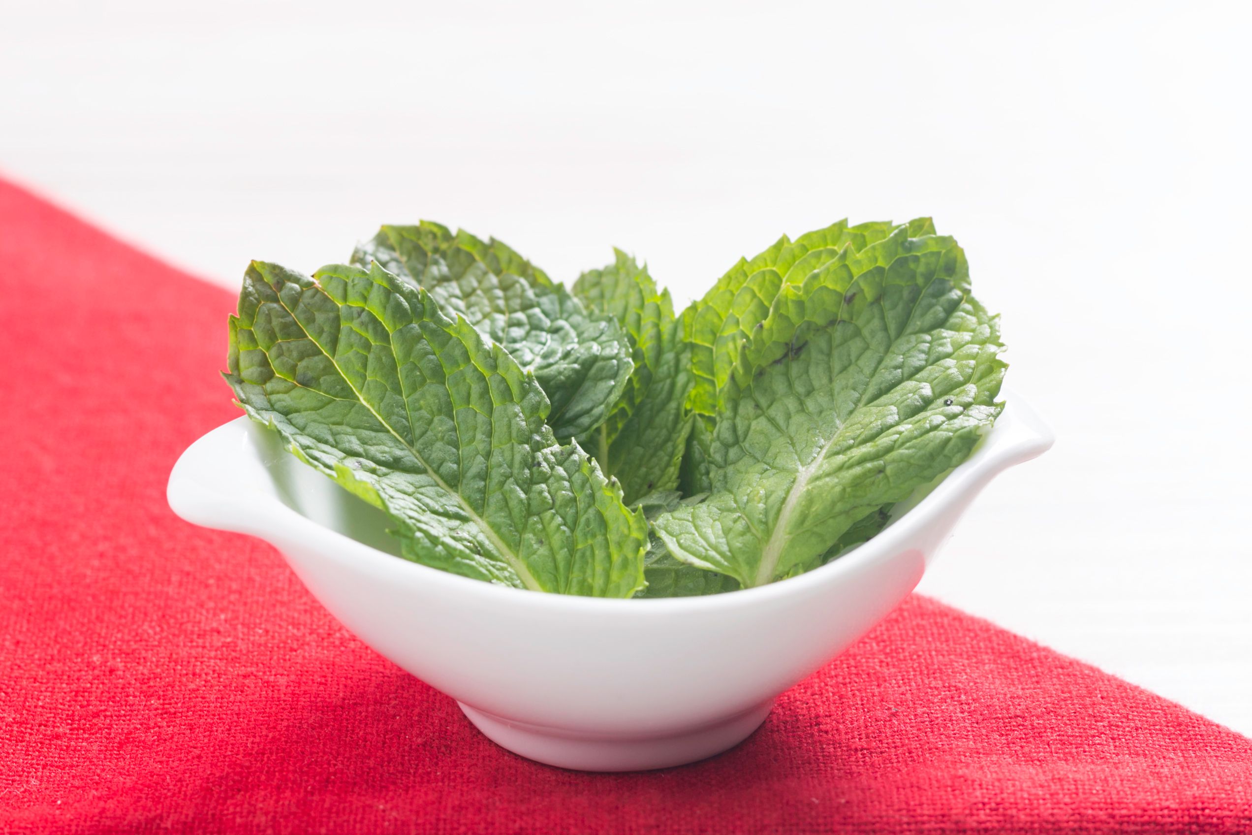 como fazer chá de hortelã para ansiedade