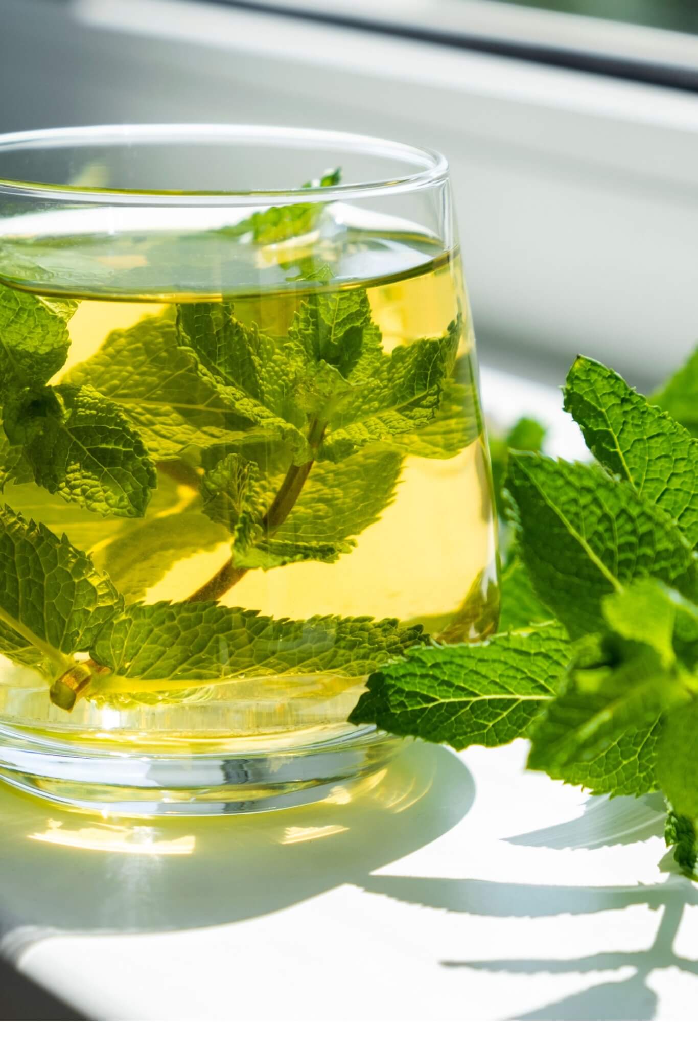 chá de hortelã contraindicações refluxo