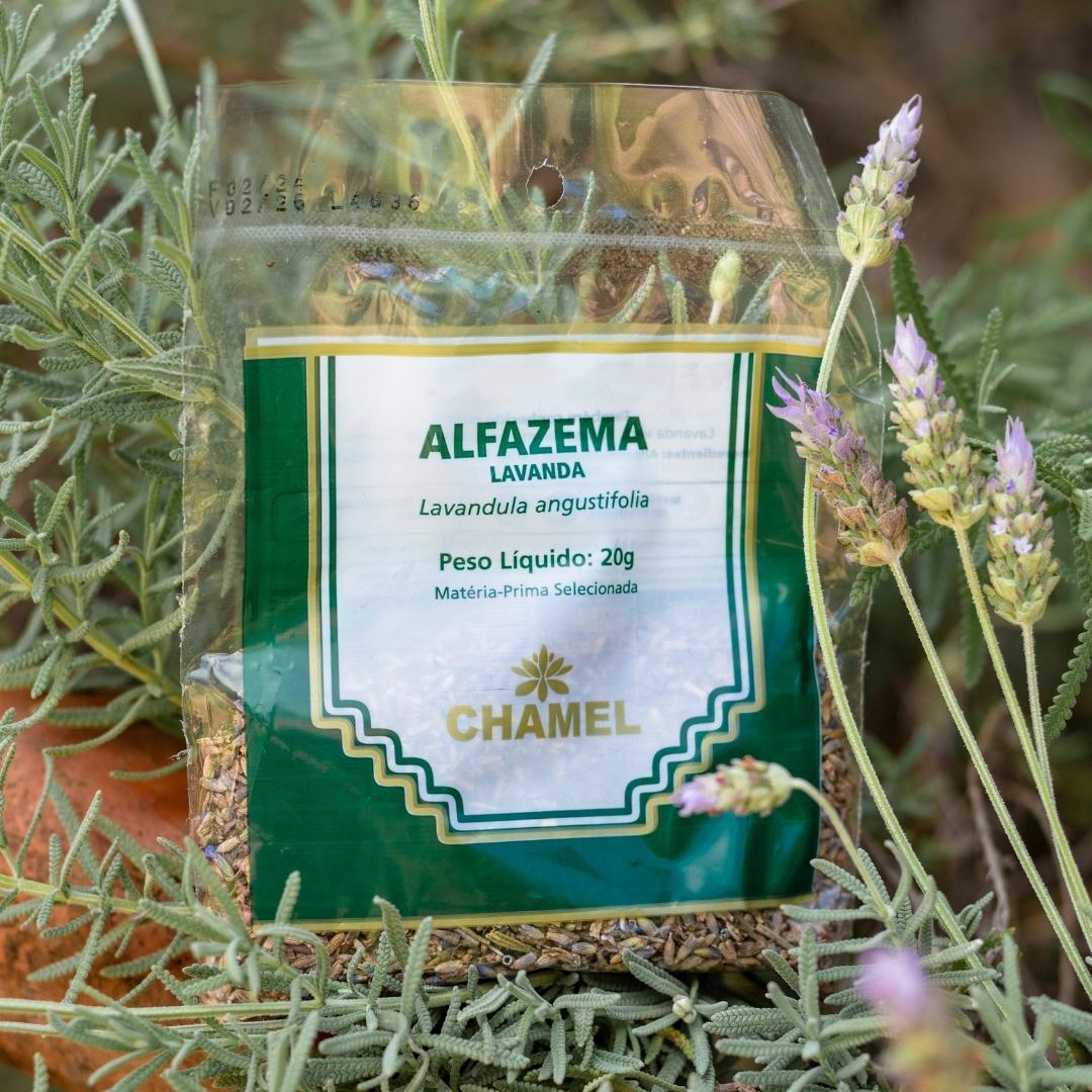 Guia Completo: Como Usar Chá de Lavanda para Aliviar a Ansiedade; Moon Milk: A Receita Perfeita para Noites de Sono Tranquilas; Lavanda na Gravidez e Amamentação: O Que Você Precisa Saber Antes de Consumir; Além do Sono: Todos os Benefícios Digestivos do Chá de Lavanda; Chá de Lavanda vs. Camomila: Qual o Melhor para o Seu Relaxamento Profundo?; Dicas Essenciais para o Cultivo e Preparo da Lavanda para Chá.