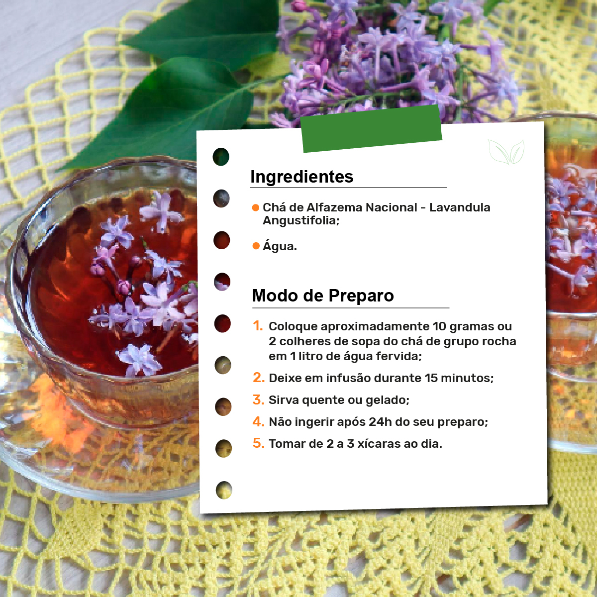 Guia Completo: Como Usar Chá de Lavanda para Aliviar a Ansiedade; Moon Milk: A Receita Perfeita para Noites de Sono Tranquilas; Lavanda na Gravidez e Amamentação: O Que Você Precisa Saber Antes de Consumir; Além do Sono: Todos os Benefícios Digestivos do Chá de Lavanda; Chá de Lavanda vs. Camomila: Qual o Melhor para o Seu Relaxamento Profundo?; Dicas Essenciais para o Cultivo e Preparo da Lavanda para Chá.