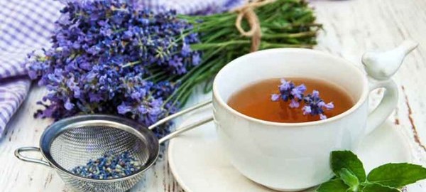 chá de lavanda