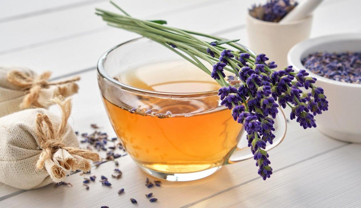 Guia Completo: Como Usar Chá de Lavanda para Aliviar a Ansiedade; Moon Milk: A Receita Perfeita para Noites de Sono Tranquilas; Lavanda na Gravidez e Amamentação: O Que Você Precisa Saber Antes de Consumir; Além do Sono: Todos os Benefícios Digestivos do Chá de Lavanda; Chá de Lavanda vs. Camomila: Qual o Melhor para o Seu Relaxamento Profundo?; Dicas Essenciais para o Cultivo e Preparo da Lavanda para Chá.