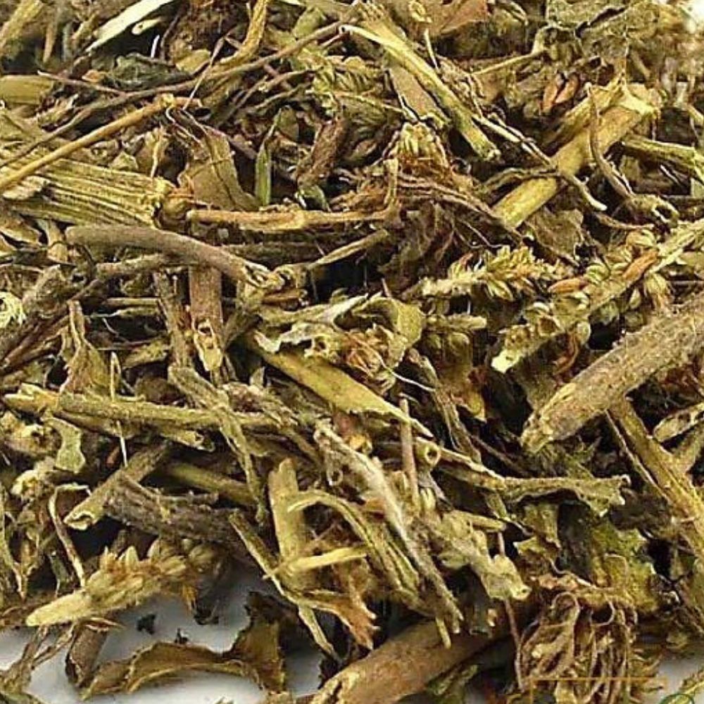 Utilizando Malva no Tratamento de Infecções Urinárias