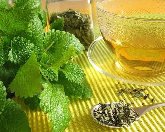 Chá de Melissa na Amamentação: É Seguro? Mitos e Verdades