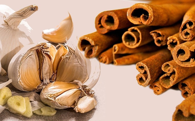 cha de oregano canela e cravo e bom para que