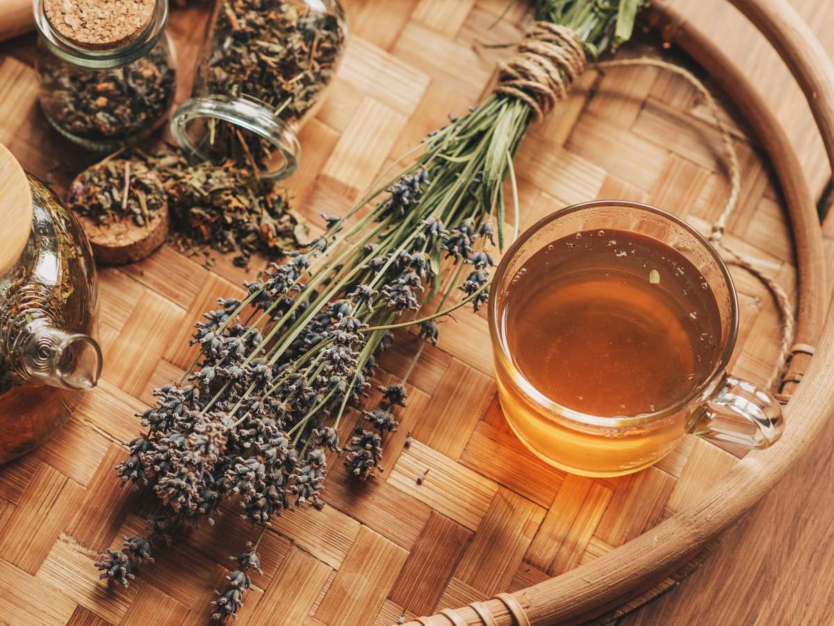 cha de oregano e bom para que