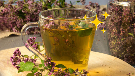 Chá de Orégano para Aliviar Tosse e Congestão