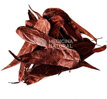 Pariri vs. Catuaba: Qual o melhor para sua saúde?