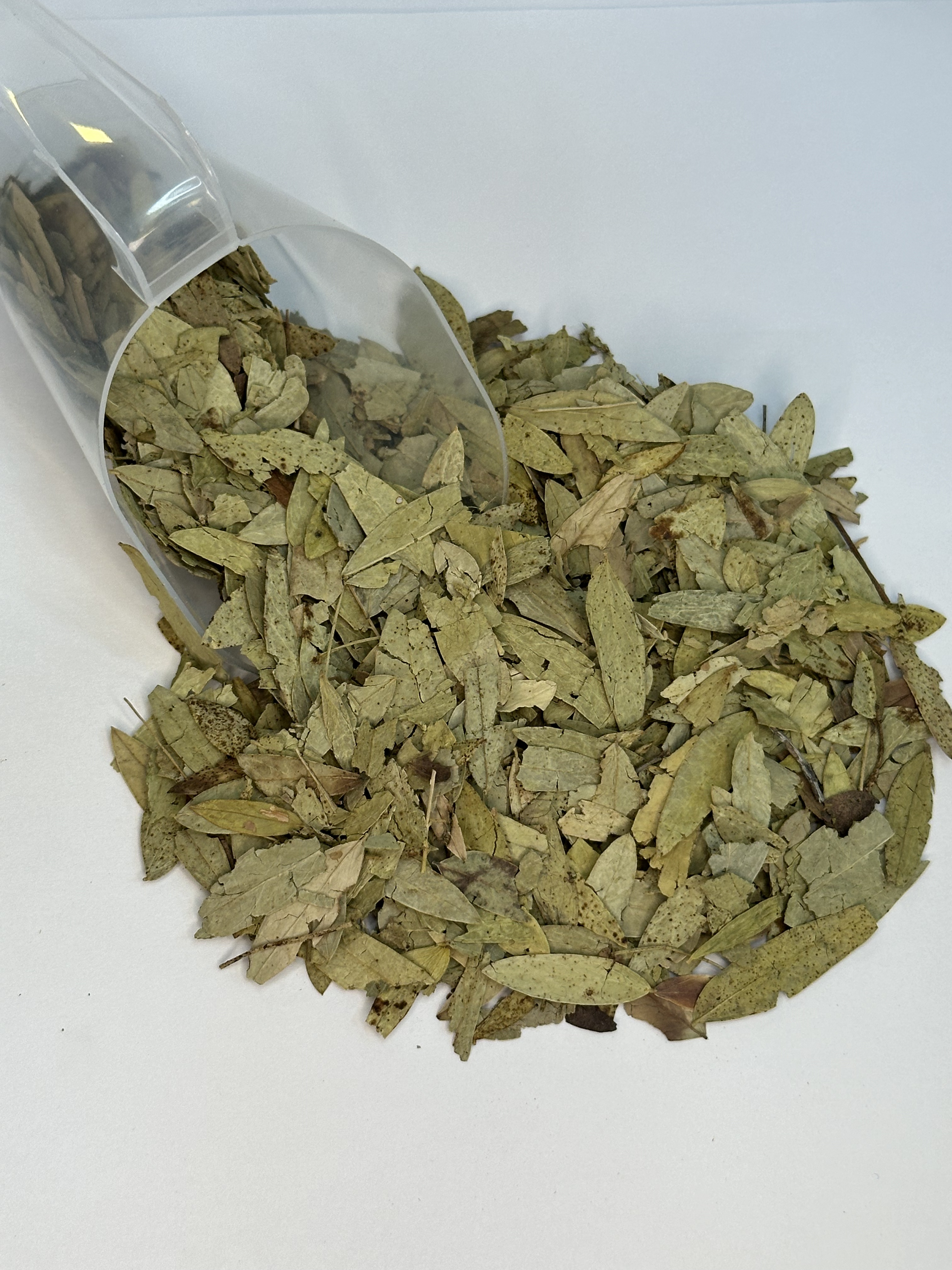 Chá de Sene: Mitos e Verdades sobre o Laxante Natural e Seus Riscos