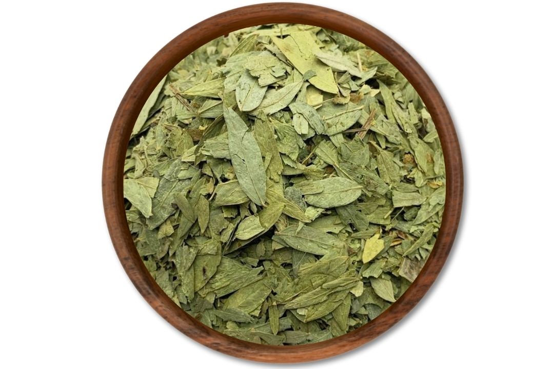 Guia Completo: Chá de Sene para Prisão de Ventre - Usos e Cuidados Essenciais